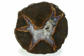 Colorful Polished Thunderegg Half - Nevada #337765