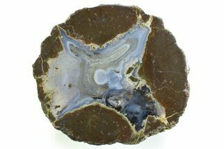 Colorful Polished Thunderegg Half - Nevada #337801