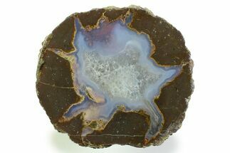 Colorful Polished Thunderegg Half - Nevada #337864