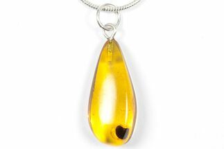 Polished Baltic Amber Pendant (Necklace) - Contains Beetle! #357925