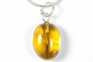Polished Baltic Amber Pendant (Necklace) - Contains Fly! #357932