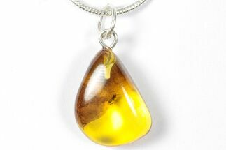 Polished Baltic Amber Pendant (Necklace) - Contains Insect! #357934