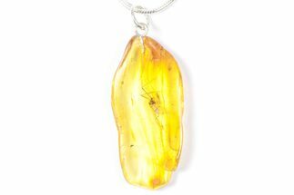 Polished Baltic Amber Pendant (Necklace) - Contains Crane Fly! #357936
