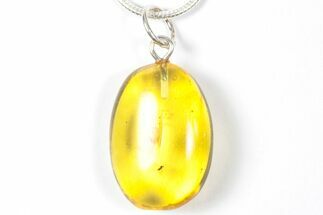Polished Baltic Amber Pendant (Necklace) - Contains Fly! #357941