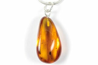 Polished Baltic Amber Pendant (Necklace) with Beetle and Fly! #357965