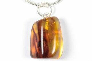 Polished Baltic Amber Pendant (Necklace) - Contains Fly! #357967