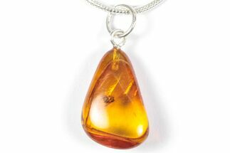 Polished Baltic Amber Pendant (Necklace) - Contains Fly! #357971