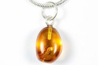 Polished Baltic Amber Pendant (Necklace) - Spider & Fly! #357993
