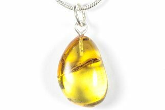 Polished Baltic Amber Pendant (Necklace) - Contains Fly! #358007