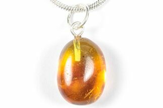 Polished Baltic Amber Pendant (Necklace) - Contains Fly! #358008