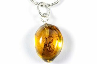 Polished Baltic Amber Pendant (Necklace) - Contains Beetle! #358013