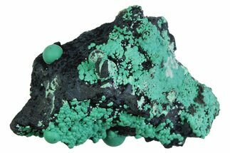 Blue-Green Botryoidal Chrysocolla - Planet Mine, Arizona #358222
