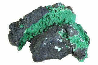 Blue-Green Botryoidal Chrysocolla - Planet Mine, Arizona #358289