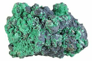 Blue-Green Botryoidal Chrysocolla - Planet Mine, Arizona #358310