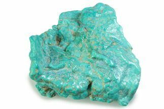 Polished Chilean Turquoise ( grams) Nugget #358815