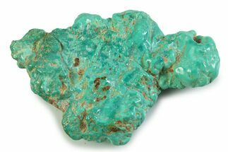 Polished Chilean Turquoise ( grams) Nugget #358823