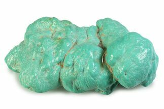 Polished Chilean Turquoise ( grams) Nugget #358828