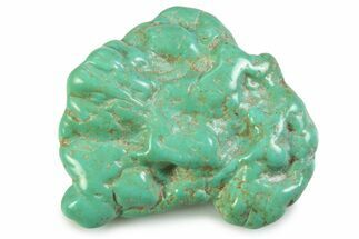 Polished Chilean Turquoise ( grams) Nugget #358843