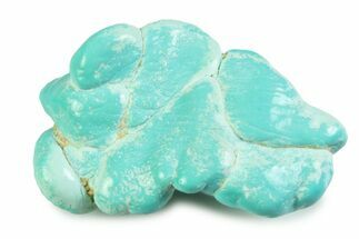 Polished Chilean Turquoise ( grams) Nugget #358845