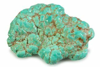 Polished Chilean Turquoise ( grams) Nugget #358848