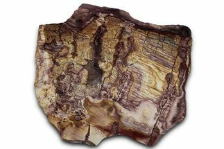 Colorful Polished Nevada Wonderstone Slab #358844