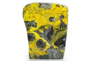Very Vibrant, Free-Standing Polished Bumblebee Jasper #358618