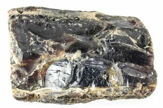 Rough Blue Indonesian Amber - Indonesia #359627