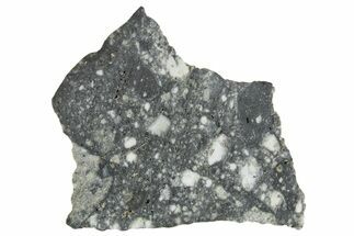 Polished Lunar Meteorite ( g) Slice - Aridal #360157