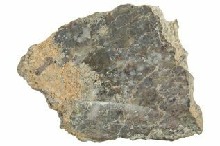 Laayoune 002 Meteorites For Sale