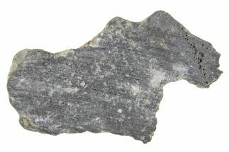 Polished Lunar Meteorite ( g) Section - NWA #360248