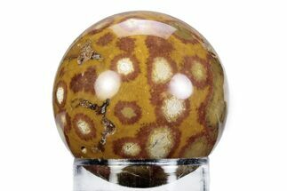 Polished Morgan Hill Poppy Jasper Sphere - California #360373