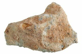 Lunar Meteorite ( g) - Bechar #360399