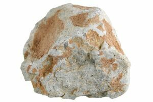 Bechar 003 Lunar Meteorites For Sale - FossilEra.com