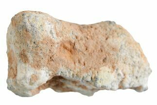 Lunar Meteorite ( g) - Bechar #360441