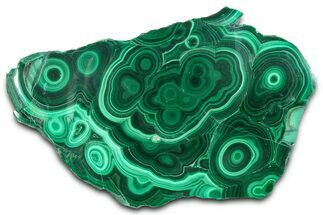 Flowery Polished Malachite Slab - DR Congo #360530