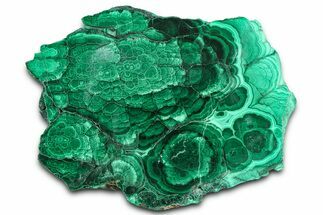 Flowery Polished Malachite Slab - DR Congo #360532
