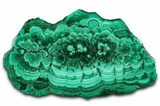 Flowery Polished Malachite Slab - DR Congo #360534