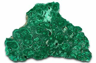 Flowery Polished Malachite Slab - DR Congo #360536