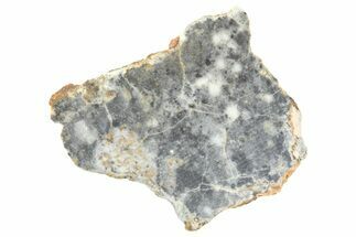 Lunar Meteorite ( g) Slice - Bechar #360563