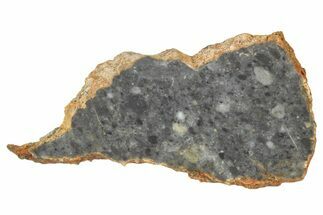 Lunar Meteorite ( g) Slice - Bechar #360568