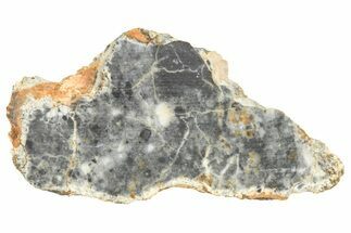 Lunar Meteorite ( g) Slice - Bechar #360569