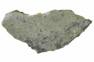 Lunar Meteorites - NWA 15482 For Sale - FossilEra.com