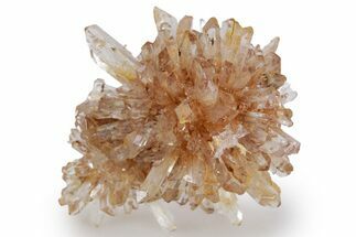 Sparkling Orange Creedite Crystal Cluster - Durango, Mexico #360614