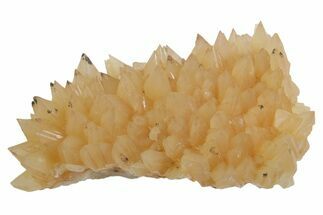 Sharp Dogtooth Calcite Crystal Cluster - Utah #360667