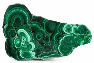 Flowery Polished Malachite Slab - DR Congo #360771