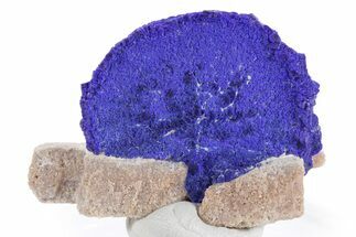 Vibrant Blue Azurite Sun on Siltstone - Australia #361138