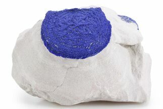 Vibrant Blue Azurite Sun on Siltstone - Australia #361140