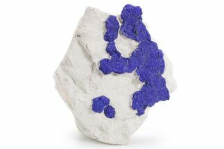 Vibrant Blue Azurite Suns on Siltstone - Australia #361205