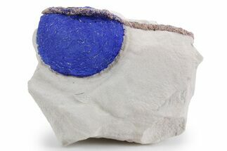 Vibrant Blue Azurite Sun on Siltstone - Australia #361222