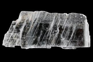Glassy Selenite Utah Ice Sheet- Hanksville, Utah #361251